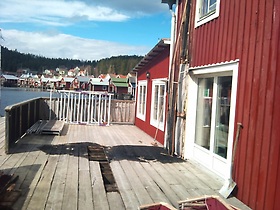 Alma